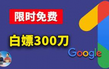 限时免费！白嫖15个月Google AI Pro，高级Veo视频生成+2TB网盘全送，无需学生邮箱！｜零度解说