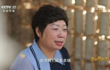 《三农群英汇》 20250628 白玉木耳出山记 | 农业致富经 Agriculture And Farming