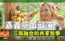 【嘉義】安心亞驚探「沒有茶」的茶山部落！深山捕魚超療癒，「恰查某」咸豐草讓她驚呼：這味道太神了！｜Chiayi／Alishan｜#安心亞