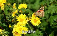 如何真正活出生命的意义-佛家智慧