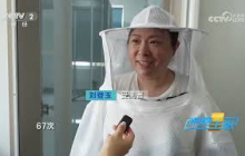 《消费主张》 20250703 夏季驱蚊神器大揭秘，哪些更加安全有效？ |  财经风云