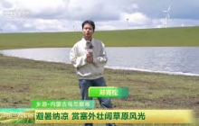 [中国三农报道]乡游·内蒙古乌兰察布 避暑纳凉 赏塞外壮阔草原风光 | 农业致富经 Agriculture And Farming