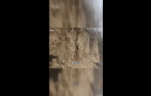 山西大哥的“吃土”秘密！地表6米以下才敢吃？