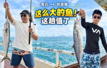 从清迈开车到芭堤雅钓鱼，竟钓上来小孩那么大的鱼！【逛吃4K】