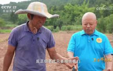《三农群英汇》 20260902 给土地开配方的人 | 农业致富经 Agriculture And Farming