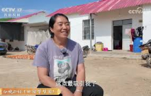 《共富经》 20250626 错峰卖果财富来 | 农业致富经 Agriculture And Farming