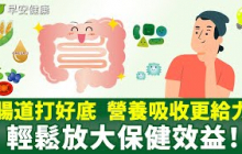 腸道打好底，營養吸收更給力，輕鬆放大保健效益！【早安健康】