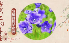 《百家讲坛》舌尖上的养生（第二部） 11 宣肺排脓话桔梗 20250515 | CCTV百家讲坛官方频道