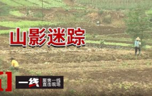 《一线》浙江一家夜不闭户 一夜之间被陌生人掏空家底？20250829