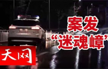 《天网》蜂巢被盗！湖北五峰乡警方迅速出击抓捕偷蜂贼 20241115