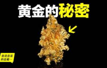 瘋狂的黃金：金價再漲三倍？川普揚言黃金只漲不跌？為什麼全人類都對黃金有一種發自基因的熱愛？化學、商業、人類學，這是你投資黃金前需要了解的秘密……|自說自話的總裁