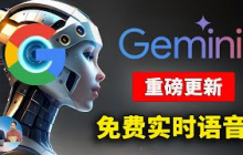 Google Gemini 全新升级！文生图+实时语音对话，无限免费，附最新安装教程 | 零度解说