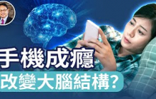 起床第一滑，為何是「傷腦毒藥」？手機成癮，全身能量失衡，4大高風險族群。手機滑不停怎麼辦？用333法則。｜四維健康