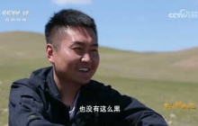 《三农群英汇》 20250731 草原上的“羊”书记 | 农业致富经 Agriculture And Farming