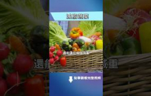 這些蔬菜低卡、低脂，堪稱脂肪吸塵器。