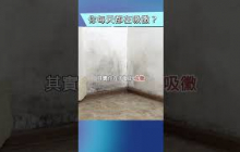 如果這些地方沒除黴，你每天都在吸黴？！
