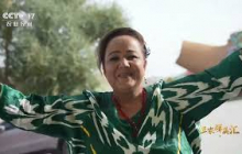 《三农群英汇》 20251029 丰收好把式——“葫芦村”变形记 | 农业致富经 Agriculture And Farming