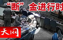 《天网》男子商场买完黄金丢在垃圾桶旁？背后究竟隐藏着怎样的真相？20250704