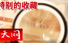 《天网》是真币还是假币？高价入手的“恐龙号”稀缺纸币竟是被人为批量制造出来的？20260824