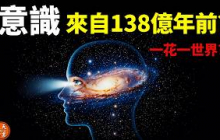 意識是什麼?物理學家:你可能是宇宙的「全息投影」,「一花一世界」是真的  | 《整體性與隱纏序》