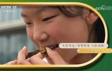 《田园帮帮团》 20251007 美食有道·智繁鲟鱼 巧养泥鳅 | 农业致富经 Agriculture And Farming