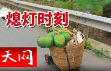 《天网》夫妻俩撞人后直接回家！警察找上门来 夫妻俩彻底傻眼！20250526