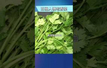 香菜不是人人都能吃？這五種體質的人請小心！