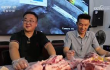 《三农群英汇》 20251008 乡野丰物记——养殖丰饶满圈舍 | 农业致富经 Agriculture And Farming