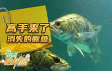《田园帮帮团》 20250607 高手来了·消失的鳜鱼 | 农业致富经 Agriculture And Farming