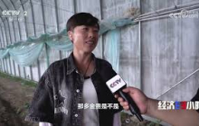 《经济半小时》 20250815 消费新观察：“土特产”生意经 |  财经风云