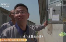 《共富经》 20250612 猪场致富招招新 | 农业致富经 Agriculture And Farming
