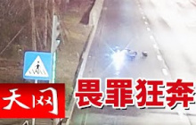 《天网》2024重庆街头追尾：白色轿车上的剐蹭痕 竟揭开车主不为人知的秘密 20251009