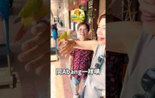 唔見咗隻鸚鵡，唯有咁樣做 #mangohk #malaysia