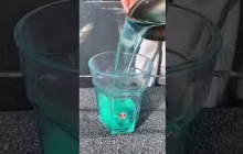 লেবুতে পরিণত হয়ে বড় জেলি তৈরি হয়