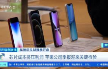 [经济信息联播]科技巨头财报季开启 美国苹果公司市值盘中首次突破5万亿美元 |  财经风云