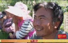 《三农群英汇》 20251006 乡野丰物记——山间嘉果满枝头 | 农业致富经 Agriculture And Farming