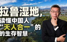 【苑举正】远眺布达拉宫与南山：拉鲁湿地，拉萨城市发展里的天人合一实践
