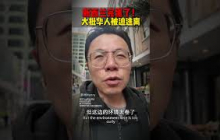 新西兰居然变成了这样...!大批华人赶紧逃离 #新西兰 #出国 #出国移民 #新西兰生活