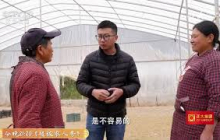 《三农群英汇》 20251026 我的田间创富路——鸭棚里的青春 | 农业致富经 Agriculture And Farming