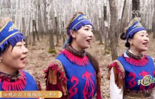 《共富经》 20250706 树汁好喝采收难 | 农业致富经 Agriculture And Farming