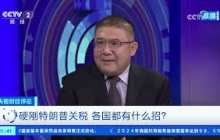 《央视财经评论》 20250711 硬刚特朗普关税 各国都有什么招？ |  财经风云