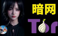 暗网到底藏了什么？访问方法、搭建方式、暗网地址入口一次讲清！全网揭秘｜零度解说