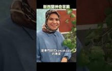 新西蘭驚現神藥！消炎、鎮痛、解毒，包治百病，連專家都搞不清其原理