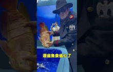 機器魚|自說自話的總裁