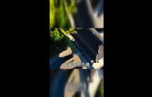 50岁后才明白：最有吸引力的伴侣其实是这样的人！