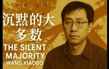 《沉默的大多数》 真正的思考，无需喊出来，它只需存在#audiobook #每日一书