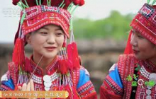 《谁知盘中餐》 20250731 “百变”豆豆奇趣吃 | 农业致富经 Agriculture And Farming