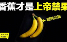 香蕉：隱藏著伊甸園的真相？這才是真正的上帝禁果？蘋果只是誤傳？而香蕉背後，才是真正的人類密碼？|自說自話的總裁