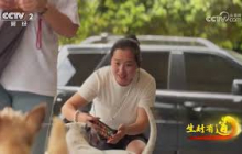 《生财有道》 20250528 “萌爪”金矿 宠爱生财 |  财经风云