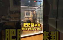 #MidValley旗舰店🦀！开了18年的 #肥肥蟹 全新旗舰店来到 #MidValleyKL 啦，大推他们全新No Shell Crab系列，不用剥壳、不怕弄脏手，优雅吃蟹真的太爽了😎！